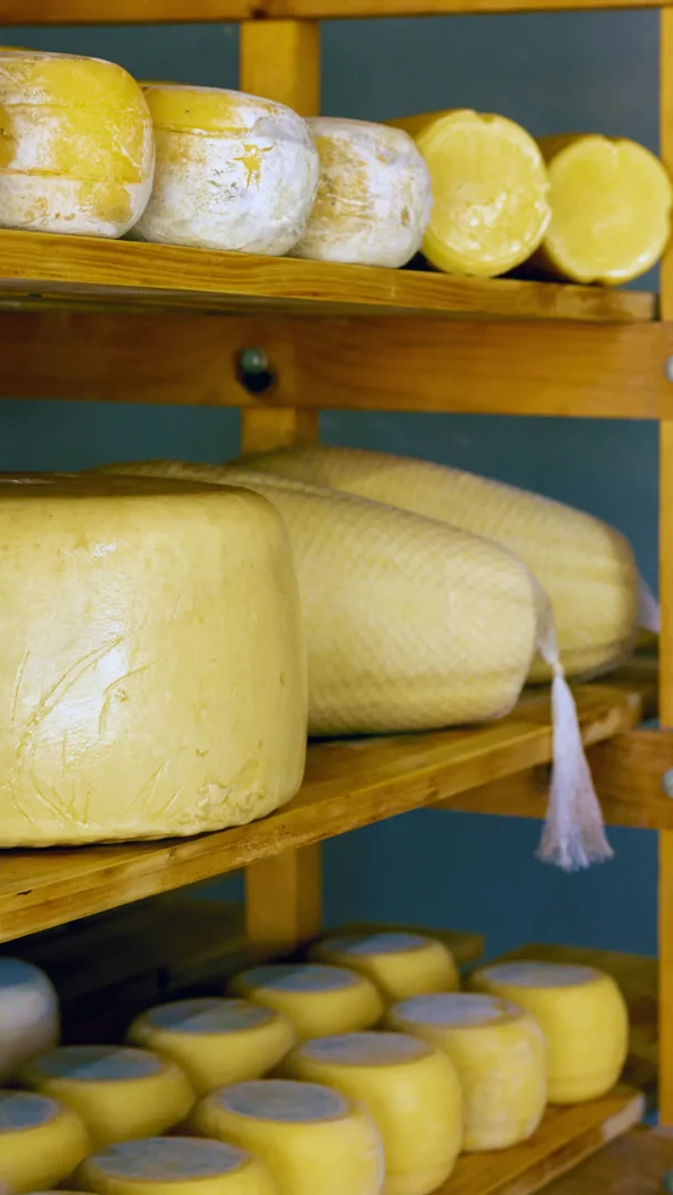 queso sabroso
